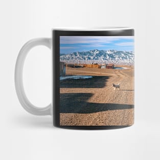 Dalanzadgad. Mug